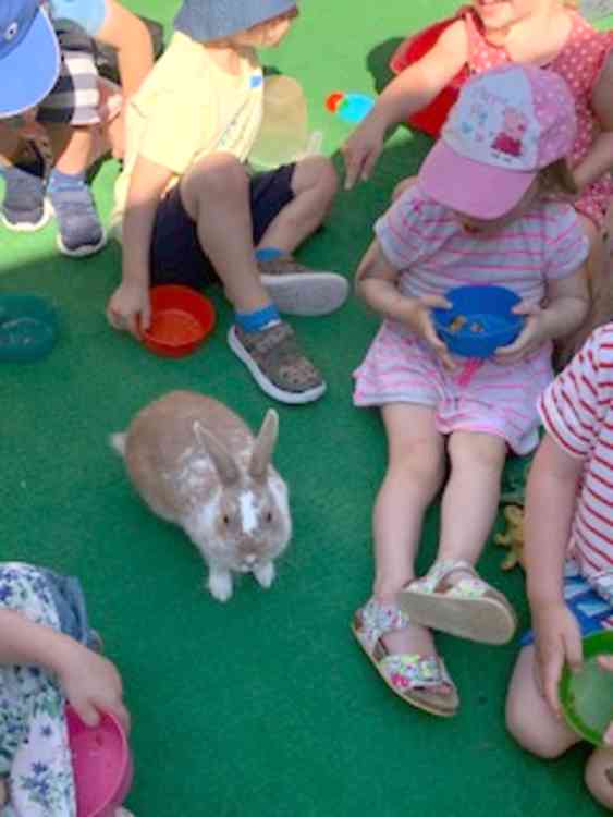 The pet rabbit was treated to lots of carrots and other vegetables for his birthday