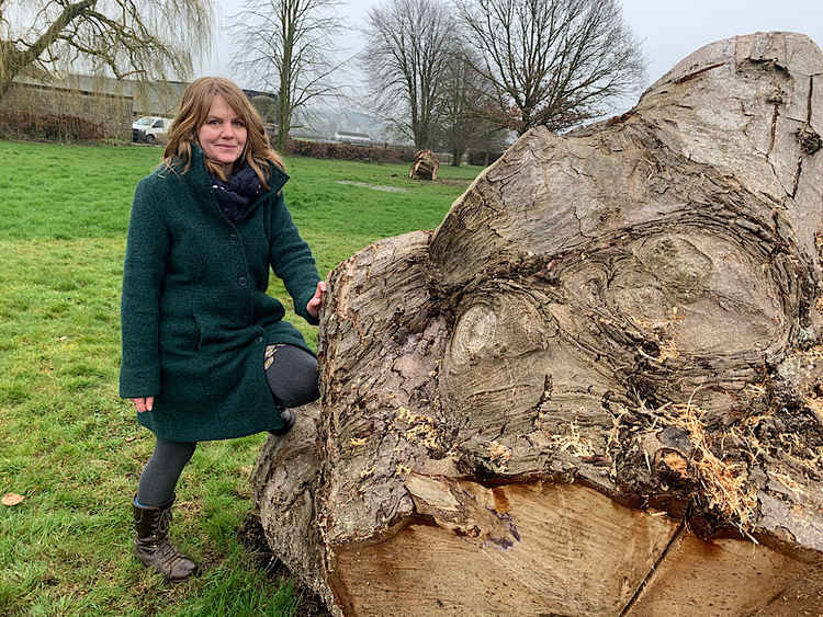 Claire Mountjoy with the felled horse chestnuts