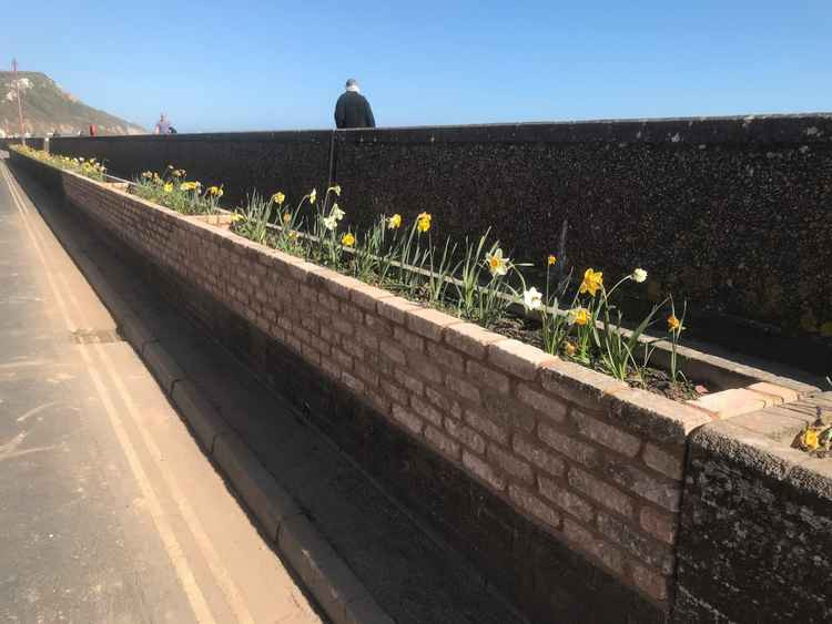 The new flower planter on the seafront at Seaton