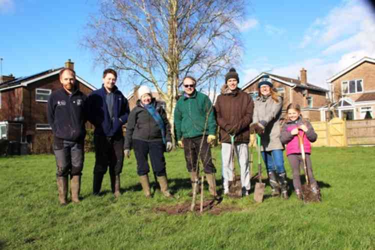Some of the volunteers replanting six fruit trees at Padgbury Lane green space, From left to right: Adam Linnet, Ben Casey, Ruth Benson, Glen Williams, Paul Spruce, Debbie Williamson, Ella Williamson Spruce. Photos by Patti Pinto