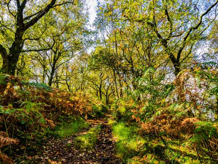 Congleton edge, by Mark Sandbach