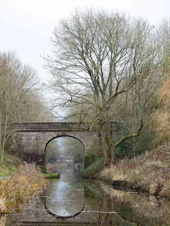 Canal beauty, by Mark Sandbach