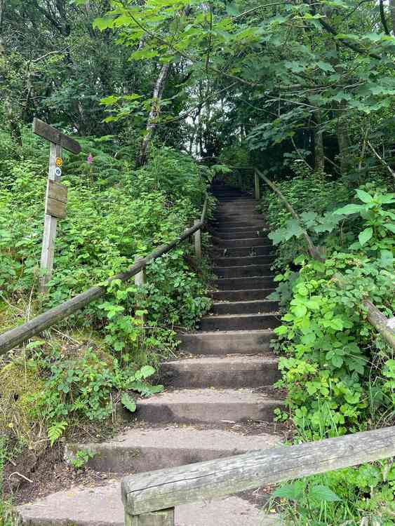 The concrete stairs that the firefighters had to each climb 20 times