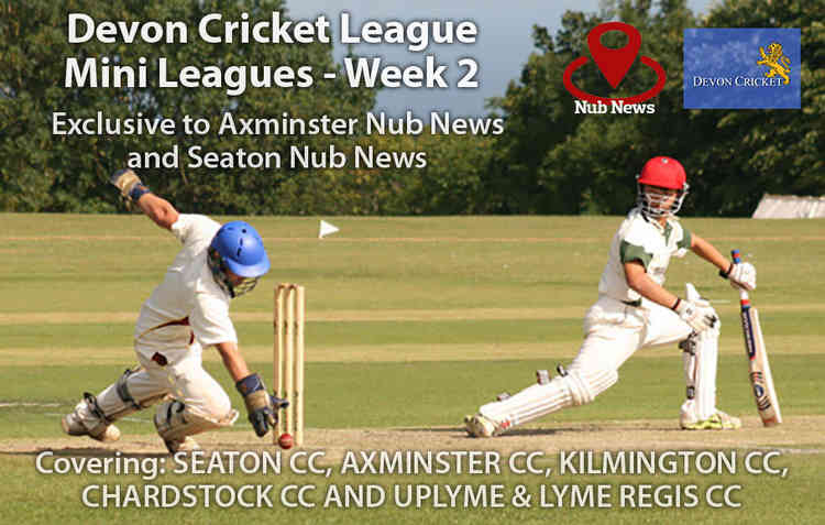 Week Two of the Devon Cricket Mini-League fixtures