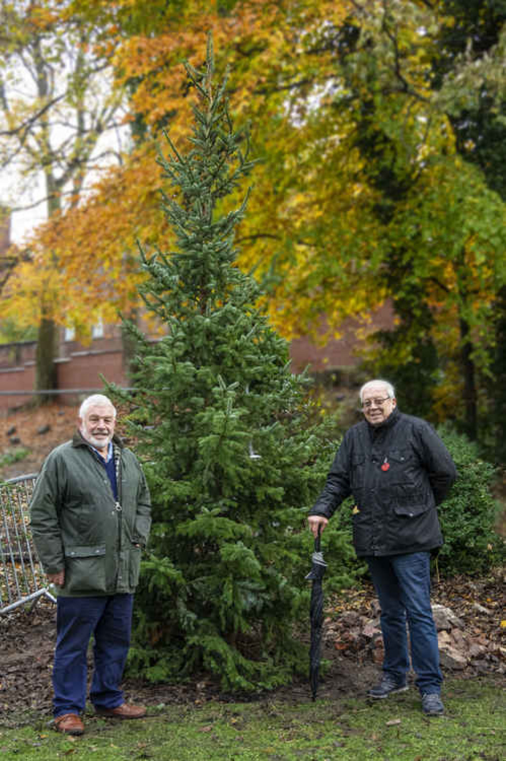 President of Rotary, Stewart Price and past president, Rod Goodier attended the planting of the tree, undertaken by Streetscape.