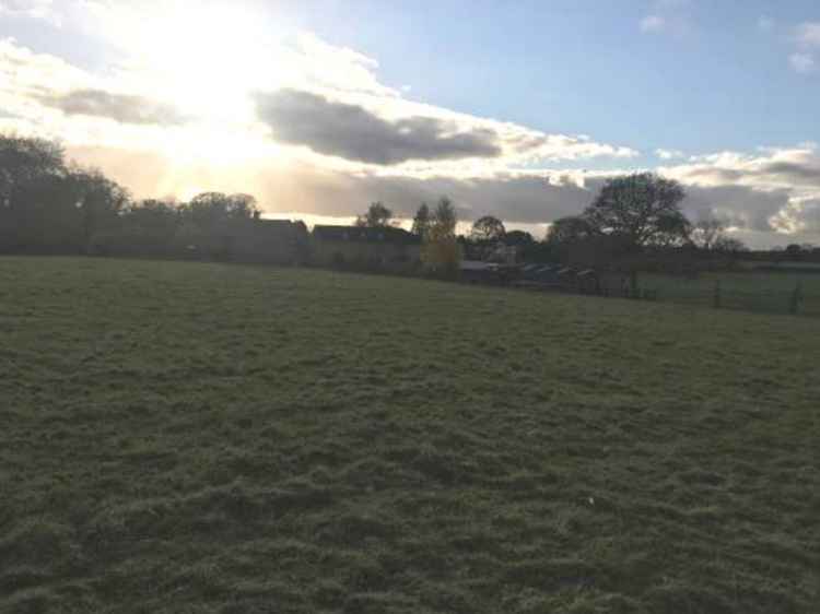 View of the application site from the field (north)