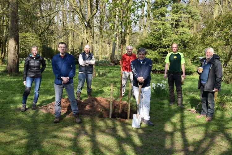 From left to right: Emma Hood, Chris Hudson, Dave Thalys, Duncan Fyfe, Gary Newsome,  Gary Hill and Rhod Taylor have planted three silver birches in memory of colleague Nigel Bates.