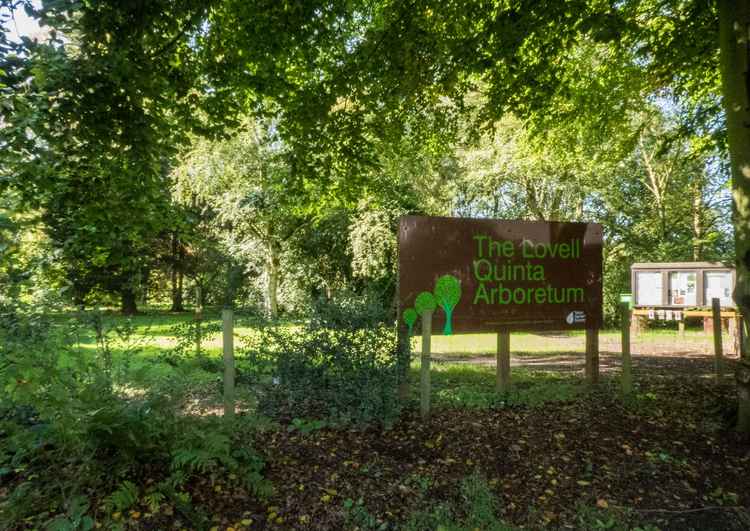 The Lovell Quinta Arboretum in Swettenham is back open to visitors.