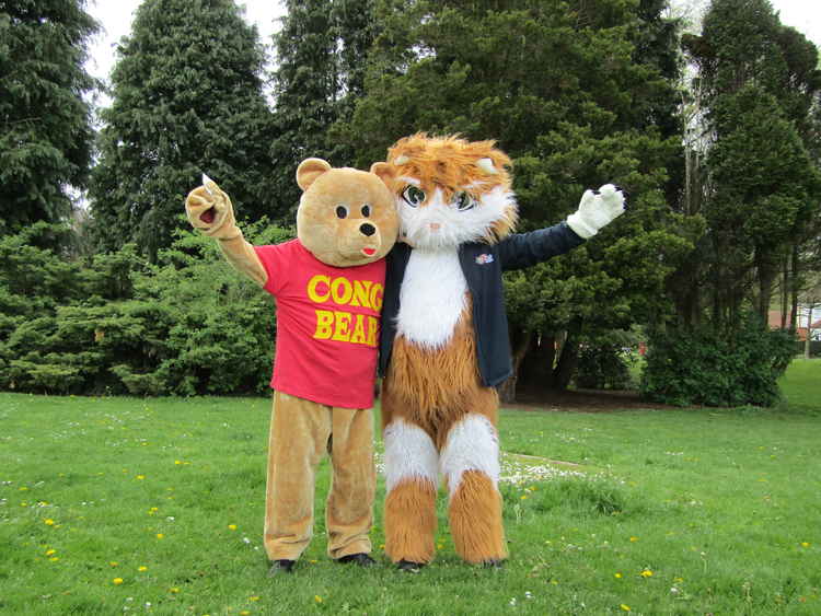 Cong Bear met Twitchy The Cat