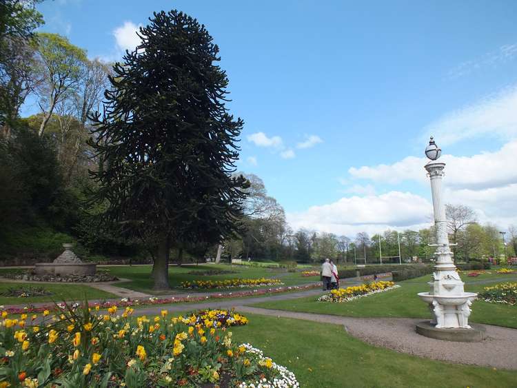 Congleton Park, which recently won a Green Flag Award, could be threatened by ecological disaster.