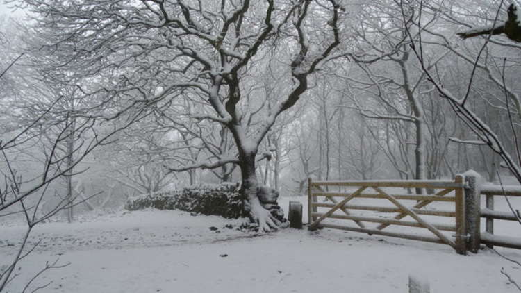 A snowy day at Bosley Cloud in Congleton (unaffected by the cuts). © Copyright Colin Park CC 2.0