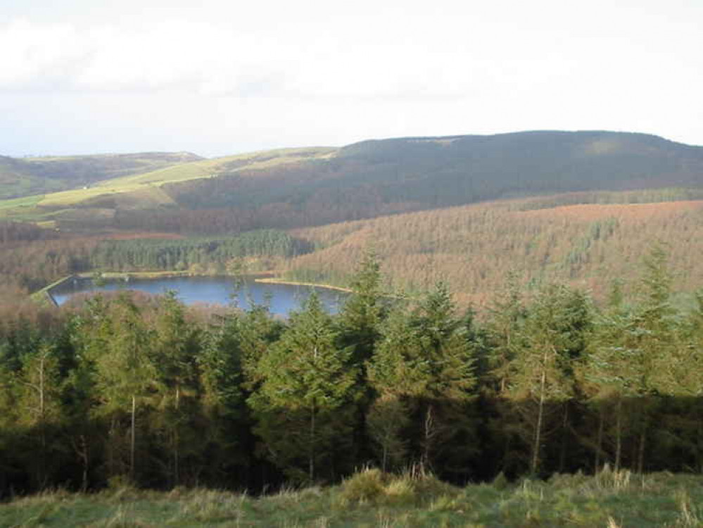 Macclesfield forest