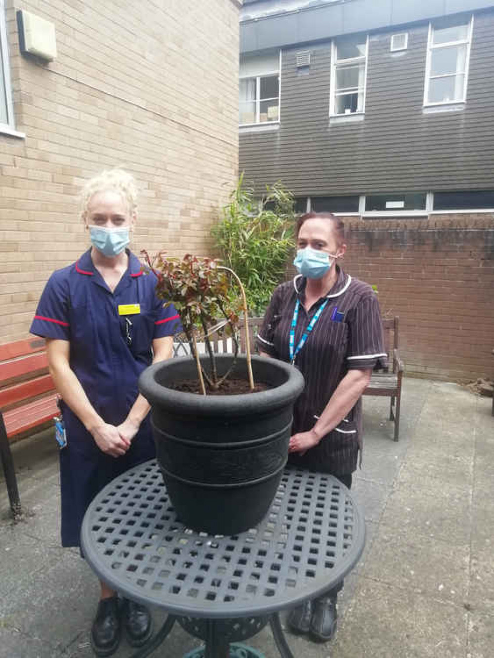 Ward 12's Senior Sister, Sarah Brocklehurst and Matron, Michelle Gillespie pose with a plant, to symbolise those who passed away during the pandemic. (Image - East Cheshire NHS Trust)