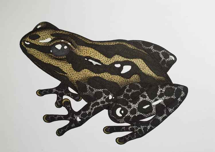 This cute little mimic poison frog print can be yours from just £15.00, and £1.50 will go to help other endangered species. (Credit - Eleanor Blackwork / @eleanorblackworkart)