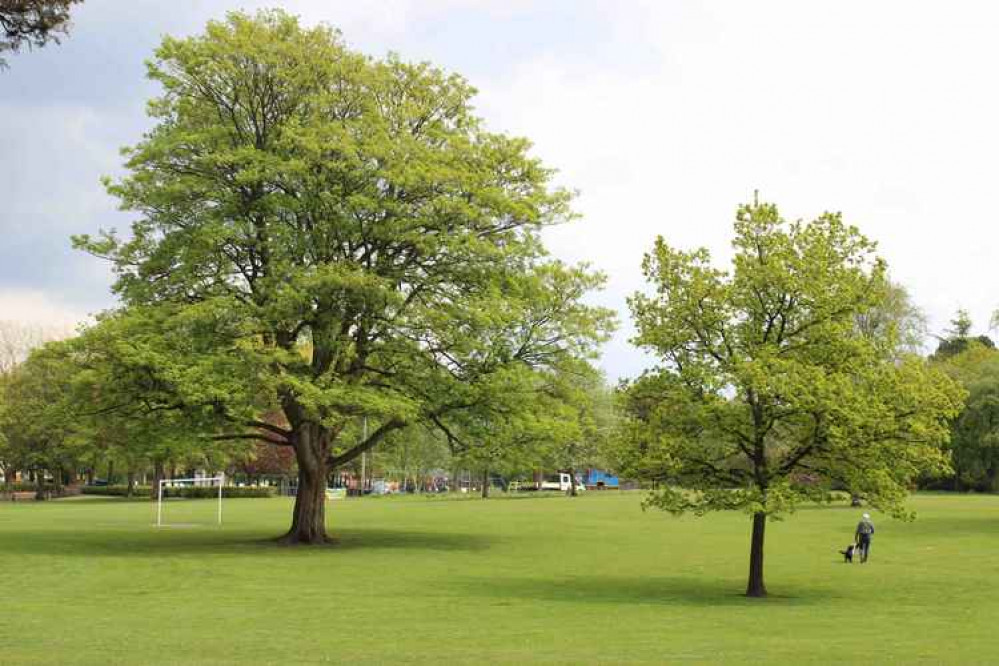 Turn over a new leaf, find your next job with our newly-improved Jobs section. (Image - Macclesfield's gorgeous West Park).