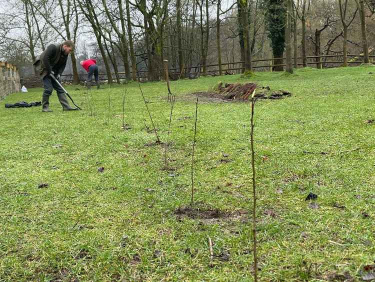 Riverside Park tree planting success is being celebrated in Macclesfield. Hundreds have been planted so far, with thousands by 2025.