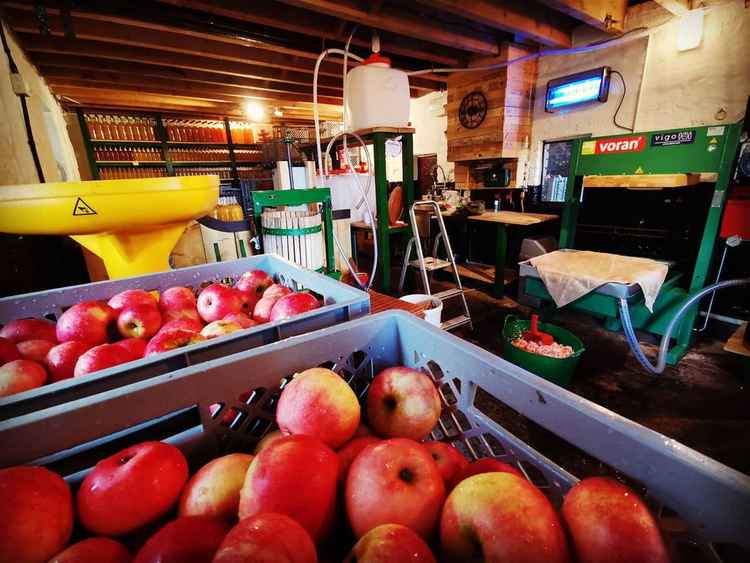 Their apple presser can squish up to 120 kilograms of apples at once. They can press up to sixty litres of apple juice before having to change their juice tank.