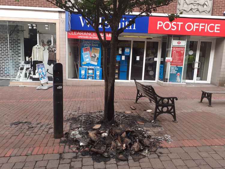 The vandalised tree pictured at 51 Mill St.