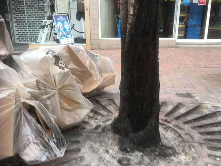 The torched tree still has leaves, but it is unlikely that it is still alive.