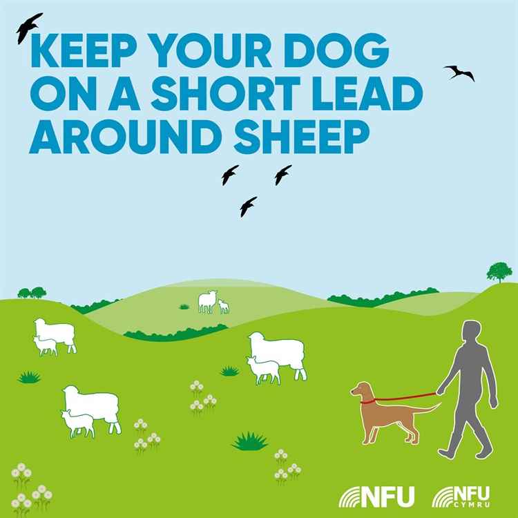 Penalties are 40 times higher in Scotland than England, however, NFU Mutual, Cheshire Police and Cheshire East Council are warning the public about the dangers of the crime.