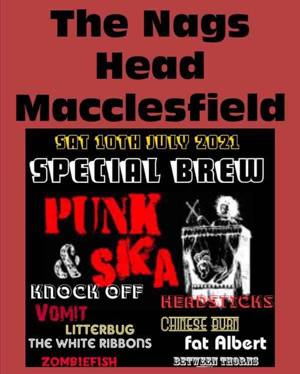 Music genres punk and ska being represented by ten bands this Saturday. It costs just a tenner to see every one, for the all-day event.