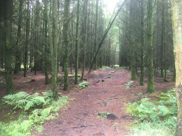 Macclesfield Forest is believed to have first been occupied by humans in the Bronze Age.