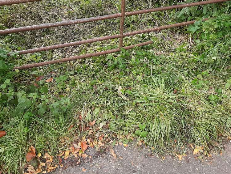 Despite works having clearly been done, workers are hard to spot, and may be working during the night. Liz Telford of Save Macclesfield Greenbelt took this picture of tracks from Cock Inn fields via Whirley Road to access the development site. (Image - Li