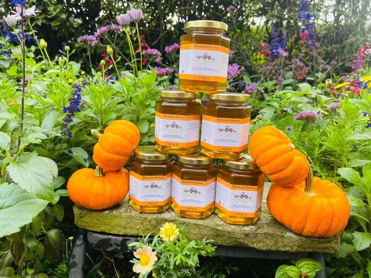 Get Halloween ready in Macc: Libby's Patch has pumpkins to pick and products to buy like this pumpkin honey.