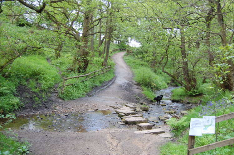 Tegg's Nose: The footpath south of the visitors' centre crosses this stream. (Image - CC Unchanged Copyright Trevor Harris 2.0)