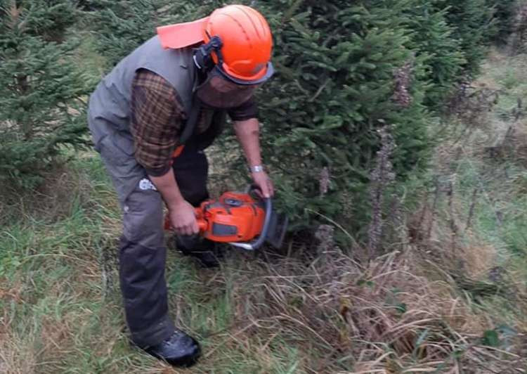 There will be no way to legally obtain a Christmas tree from Macclesfield Forest this year. (Image - Macclesfield Forest Christmas Trees)