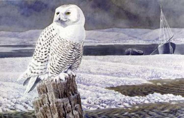 The artist's piece called 'A Snowy Owl, Anglesey', which was where the Macclesfield-born artist died.