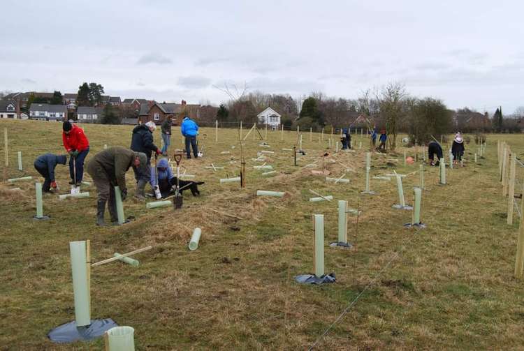 450 trees being planted.