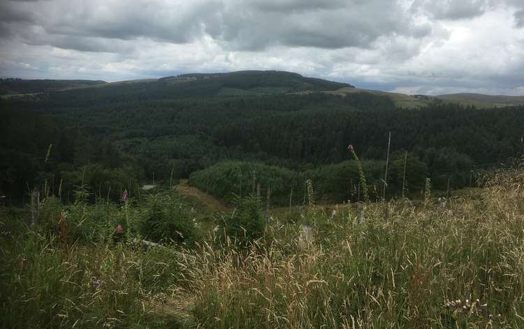 Macclesfield Forest from the route towards Shutlingsloe. Gawsworth and Macc Forest has the highest number of cases in our area currently.