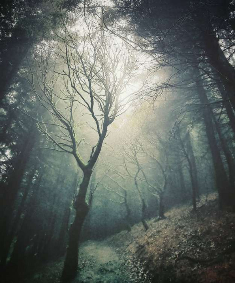 Macclesfield Forest looking especially spooky last week, just in time for the Halloween weekend. (Image - Ben Richardson / Instagram @ben_richardso1)