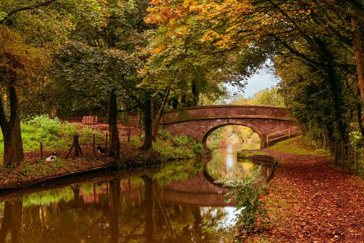 Autumn beginning to show its colours on the tow path heading towards Bridge 22 on the Macclesfield Canal, Bollington, (Image - Andy M / @salescycle)