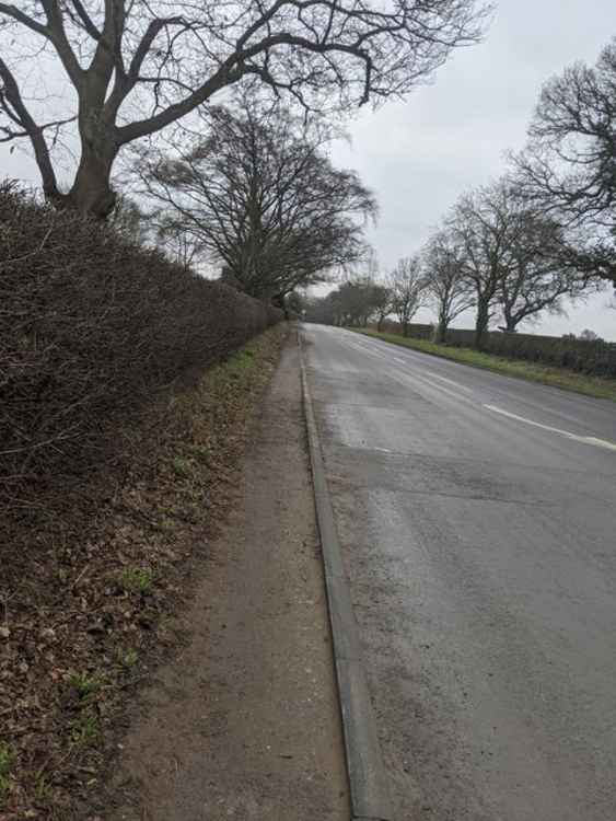 Cllr Roscoe said the footpath "isn't fit for purpose" (Image: Cllr Kieran Seymour).