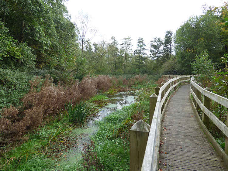 Sandbach Park (Image: Stephen Craven)