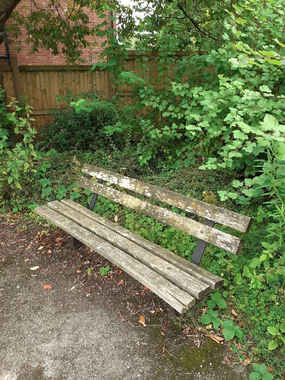 Bench in need of repair