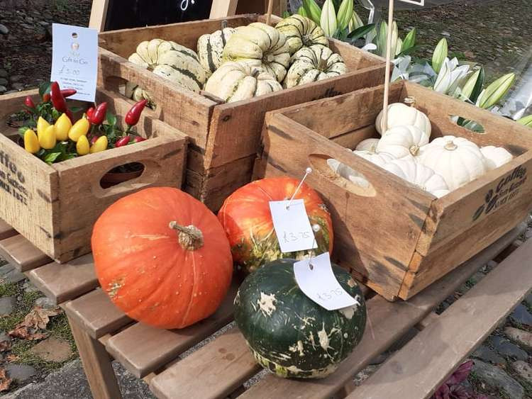 Autumnal display including pumpkins outside Flowers on the Cobbles