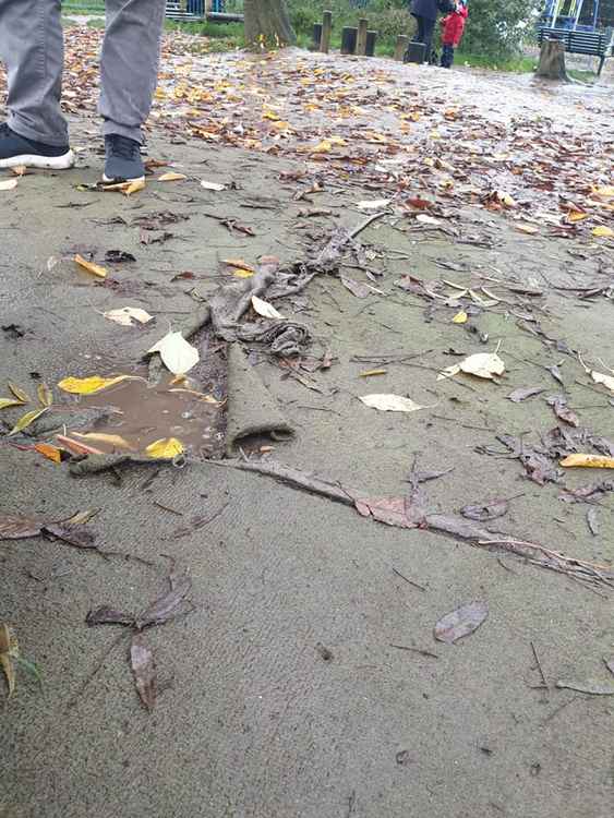 The state of the playground has been bad for years and it's only getting worse