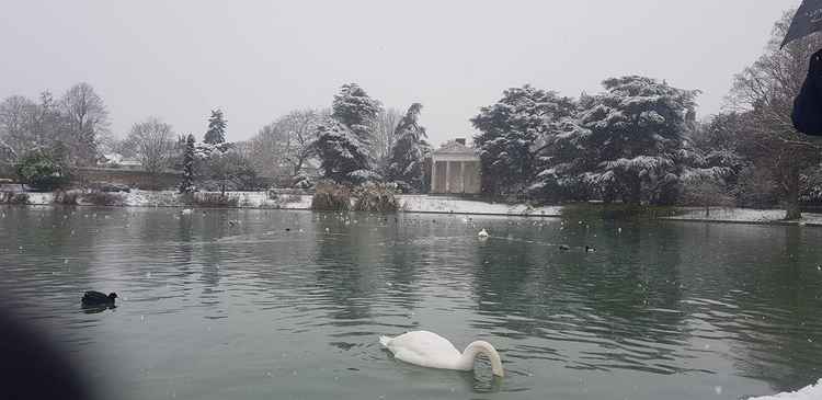 Gunnersbury Park. Image Credit: Marta Kapuscinska