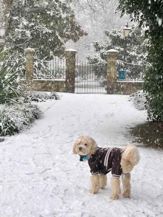 Walpole Park. Image Credit: Alicia Bolivar