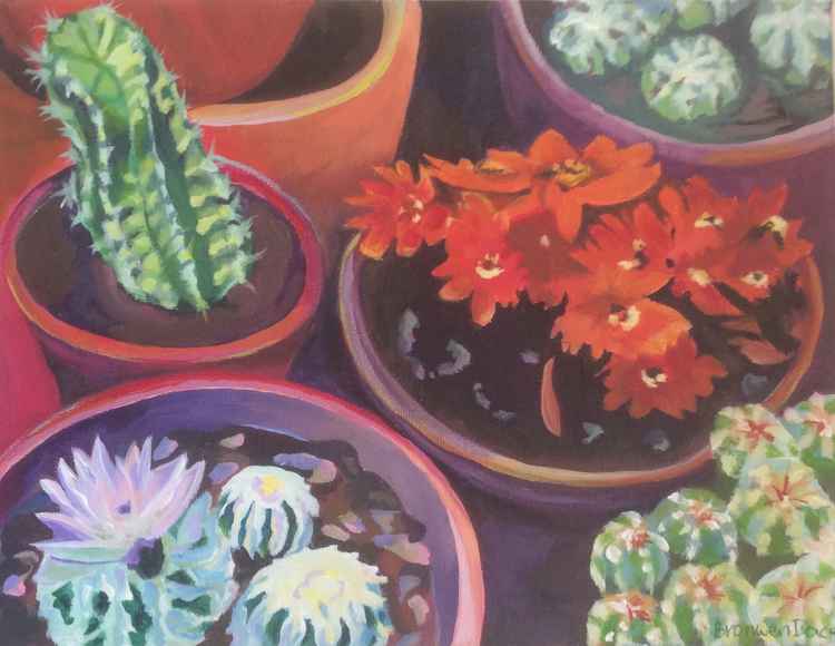 Cacti in pots at Petersham Nurseries 23 x 30cm - £50