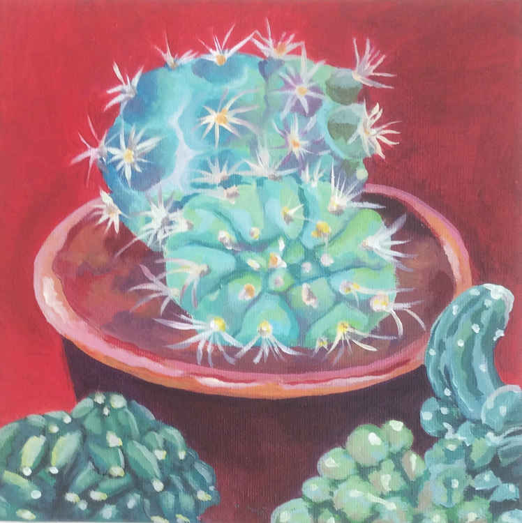 Red cacti 20 x 20cm - £45