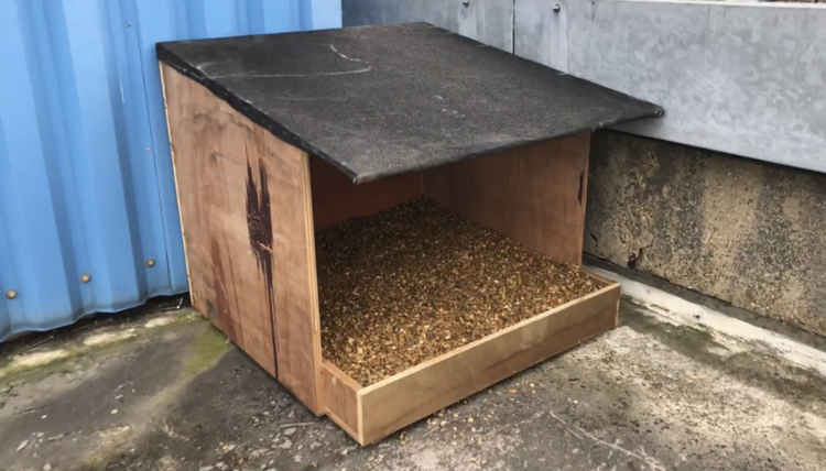 The nesting box installed for the two falcons. Image Credit: Sean McCormack