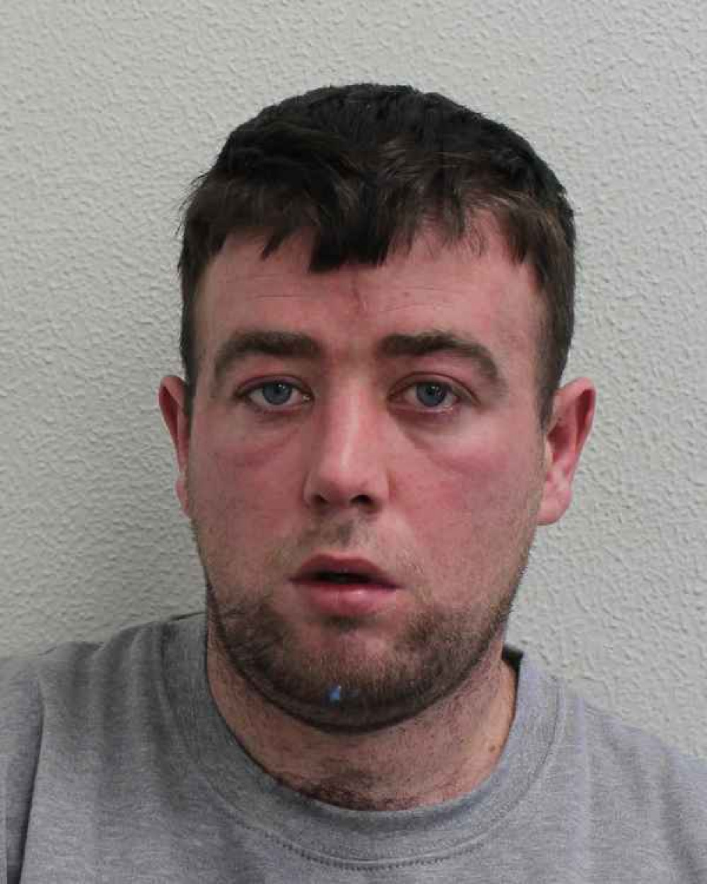 Thomas McCarthy was sentenced last week after assaulting the officer. Image Credit: Ealing Police