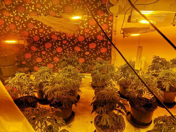 A drug search was conducted at the property in Greenford. Image Credit: Ealing Police