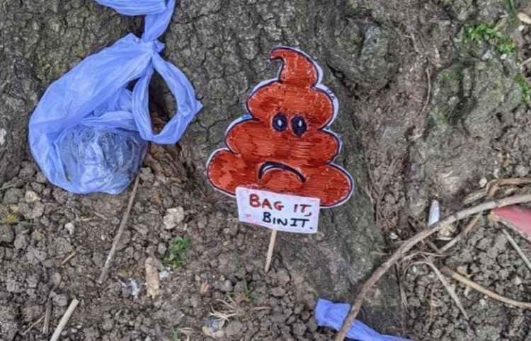 Residents are taking action after spotting dog poo being left behind in Ealing. Image Credit: LAGER Can via Ealing Council