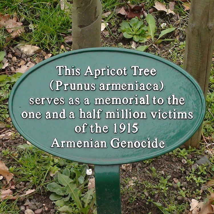 Armenian Genocide Memorial Tree on Ealing Green was planted in 2010