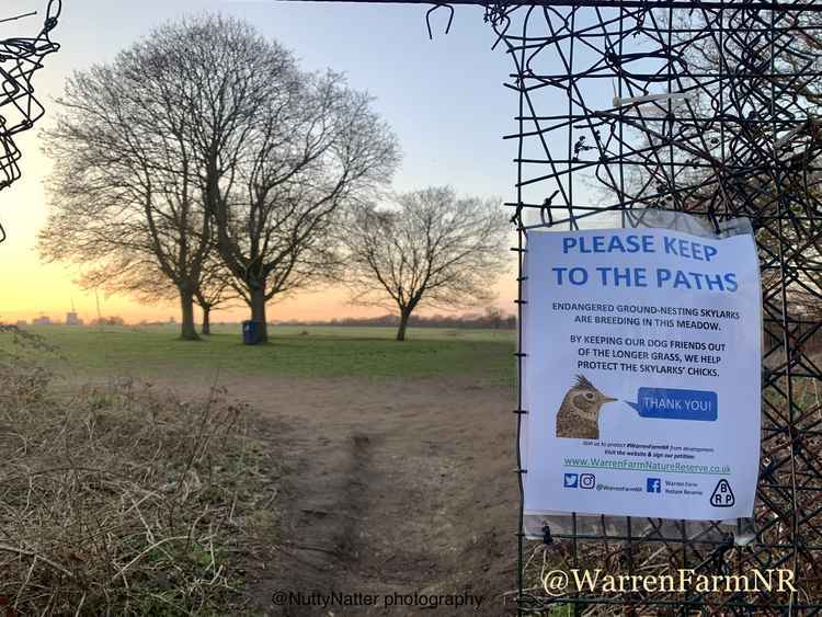 Warren Farm has been asking visitors to please keep to the paths in order to protect skylarks' ground-nesting and their chicks from coming to any harm. Image Credit: Warren Farm Nature Reserve Twitter